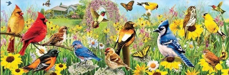 پازل 360 درجه GARDEN BIRDS 1000 PCS  6010-5338