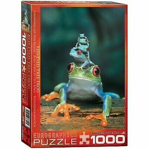 RED-EYED TREE FROG 6000-3004