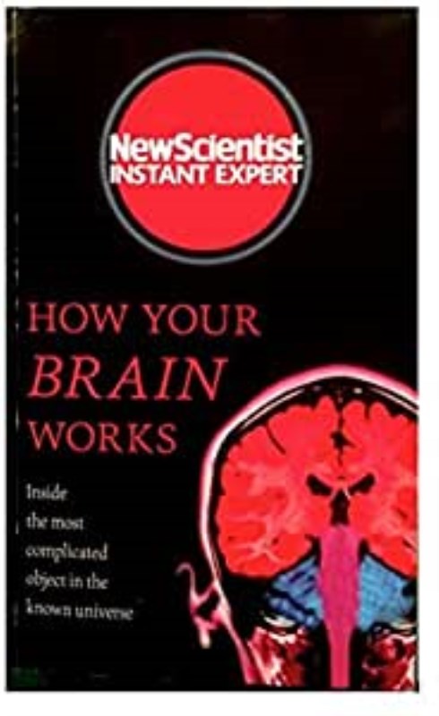 NEW SCIENTIST INSTANT EXPERT: HOW YOUR BRAIN WORKS