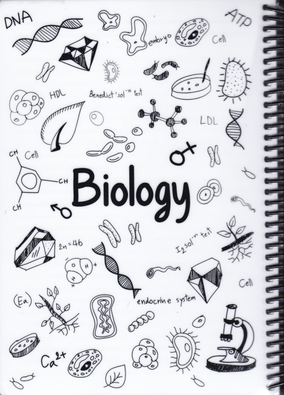 دفتر زیست رنگبندی جلد نرم PP سیمی دات نوت BIOLOGY 17*24CM