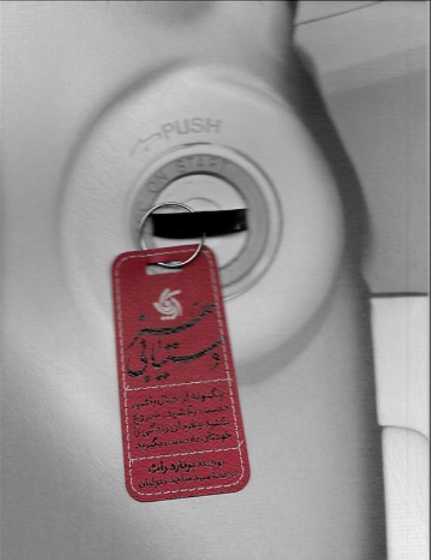 هنر دستیابی آریانا قلم