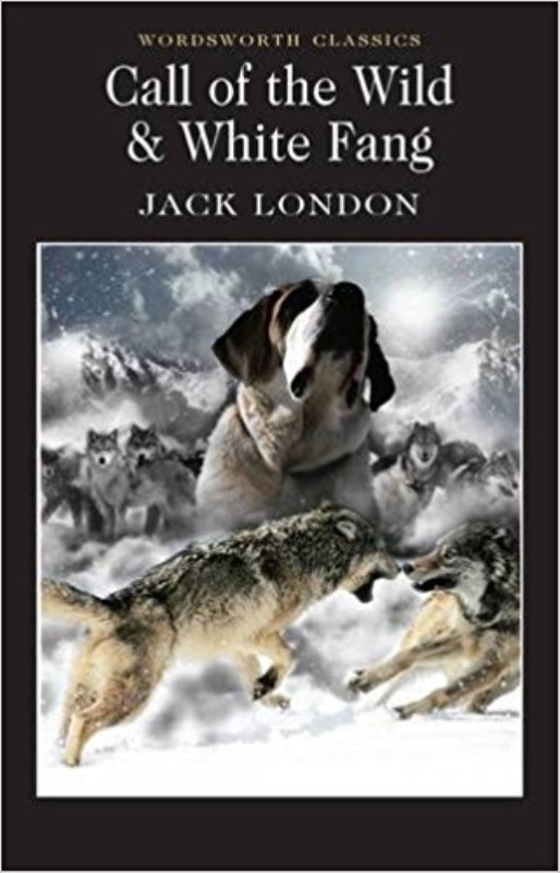 Call of the Wild and White Fang (Wordsworth Classics)