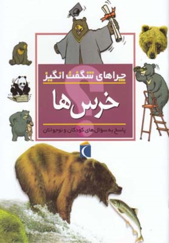 چراهای شگفت انگیز خرس ها محراب قلم