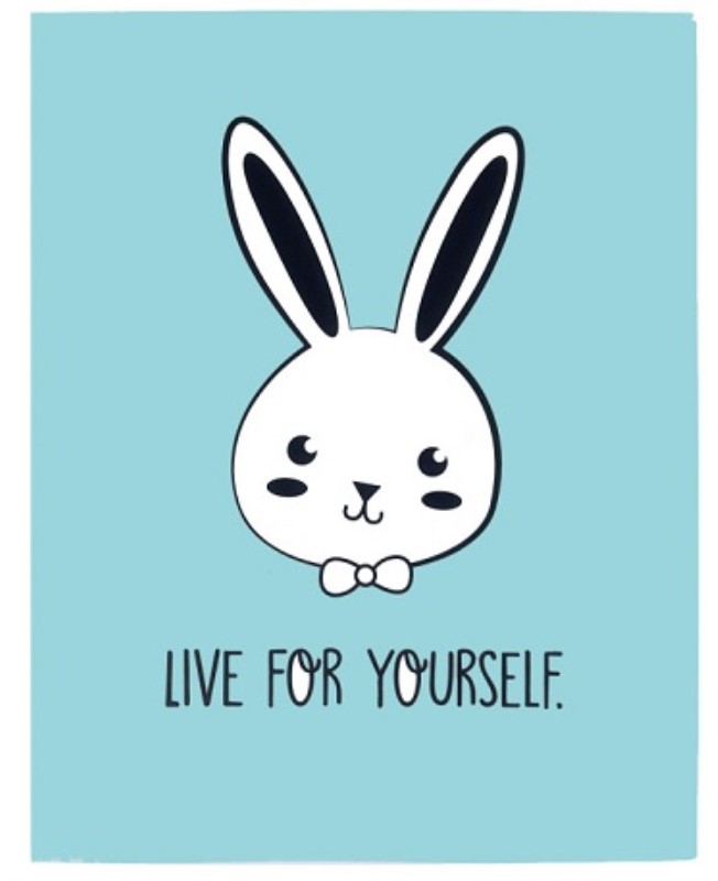 کلیر بوک 20 برگ طرح Funny Bunnies پاستلی CB-42018   A4
