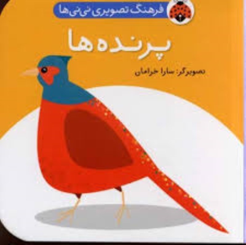 تصویر  فرهنگ تصويري ني ني ها پرنده ها شهرقلم