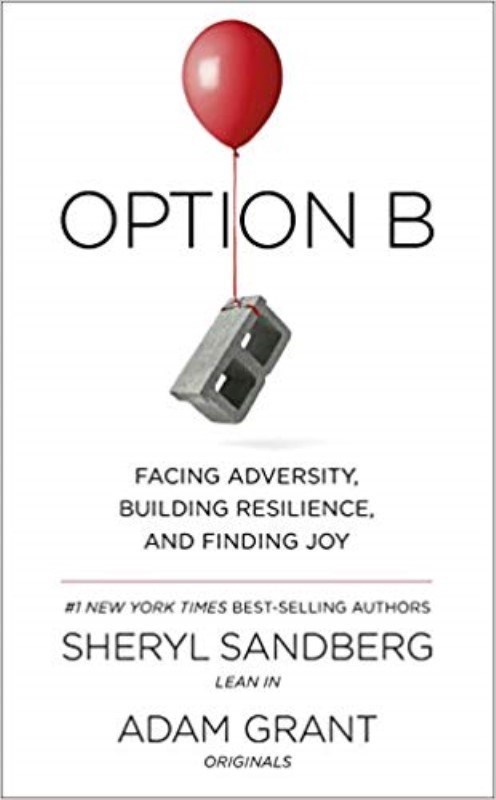 تصویر  Option B: Facing Adversity, Building Resilience, and Finding Joy