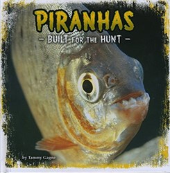 تصویر  Piranhas: Built for the Hunt