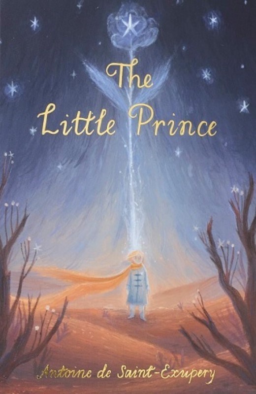 تصویر  THE LITTLE PRINCE (WORDSWORTH EXCLUSIVE COLLECTION)