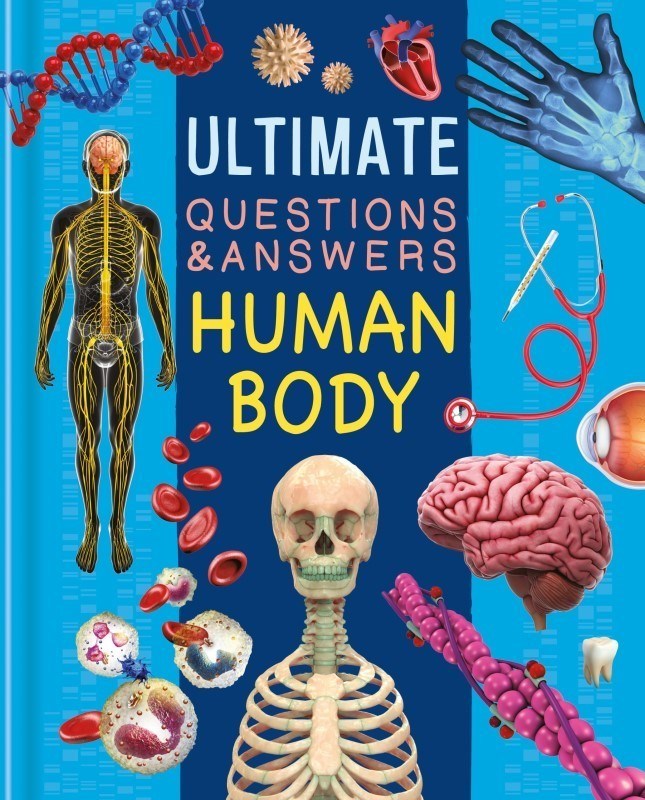 تصویر  Ultimate Questions And Answers: Human Body