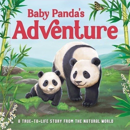 تصویر  Baby Pandas Adventure