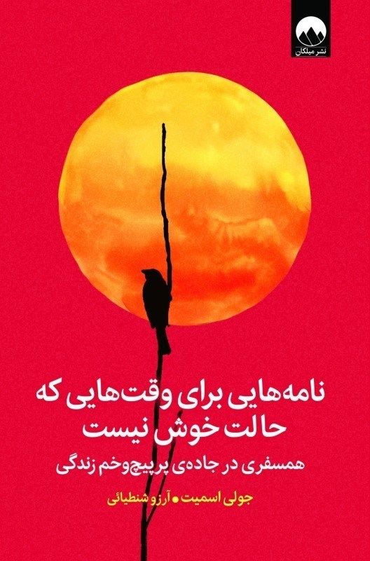 تصویر  نامه هايي براي وقت هايي كه حالت خوش نيست ميلكان