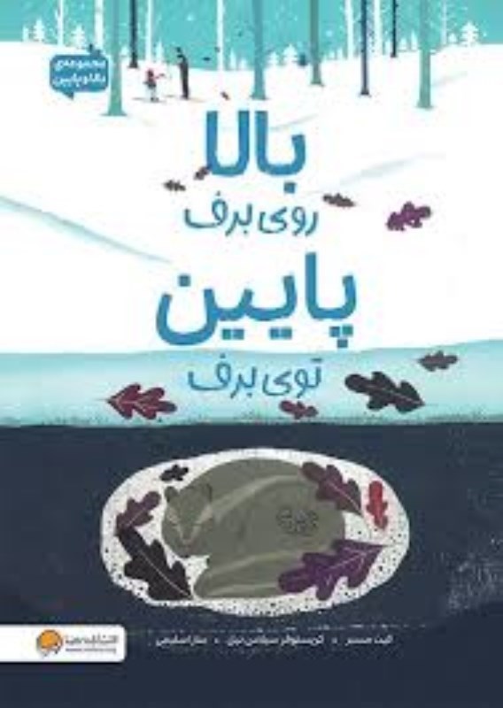 تصویر  بالا روي برف پايين توي برف مهرسا
